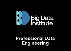 Big Data Institute logo for Professional Data Engineering course
